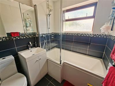 Picture 11